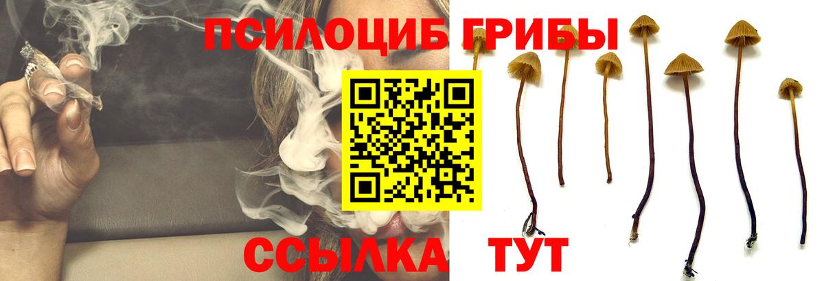 Красногорск  Галлюциногенные грибы ЛСД  Вход с VPN 